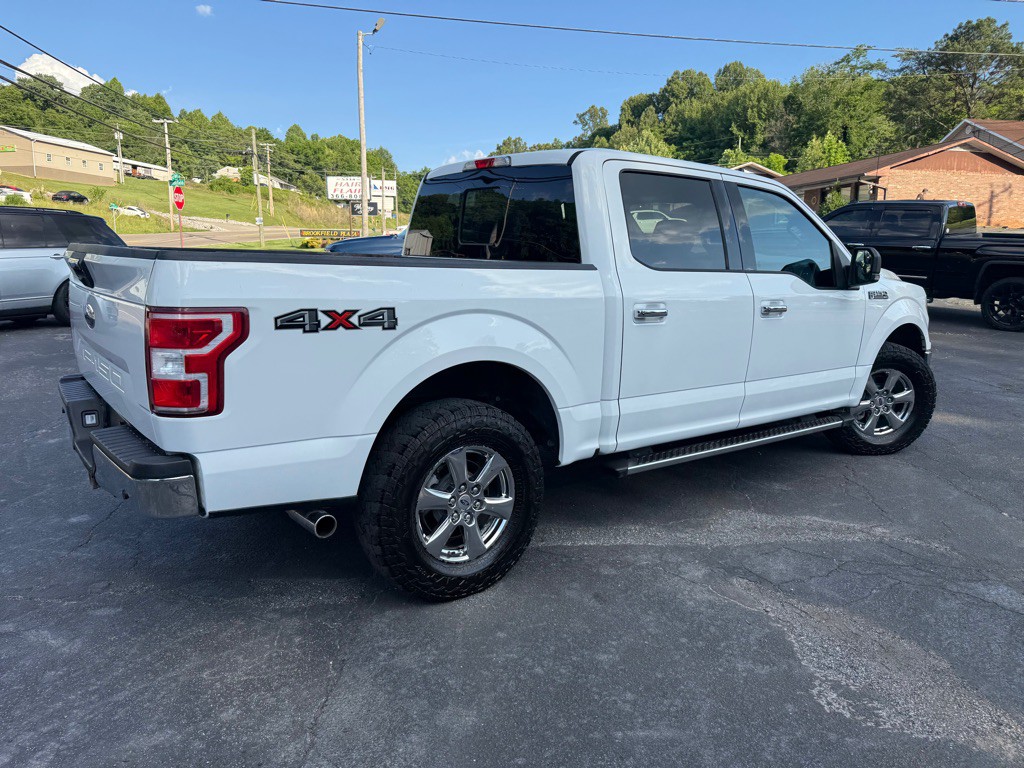 2019 Ford F-150 Image 11