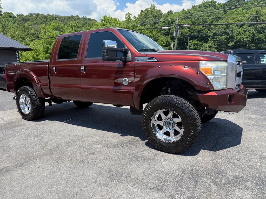 2015 Ford F-250 Image 3