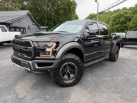 Image for 2017 Ford F-150 Raptor ID: 7588657
