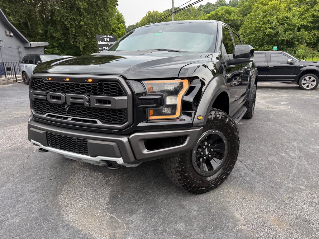 2017 Ford F-150 Image 2