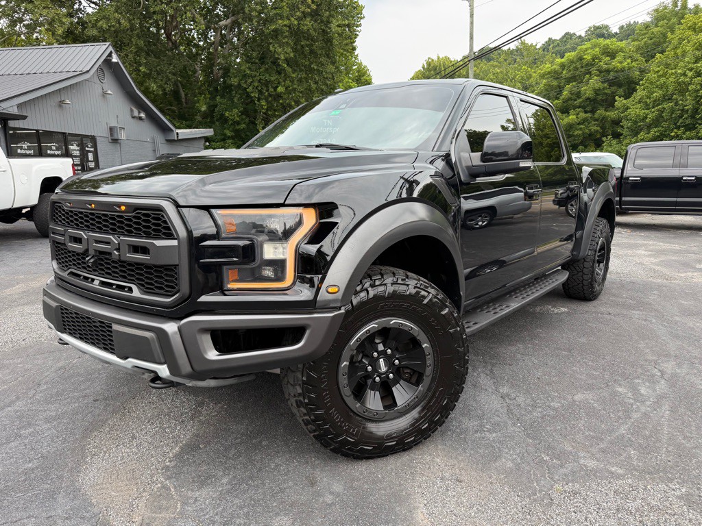 2017 Ford F-150 Image 3