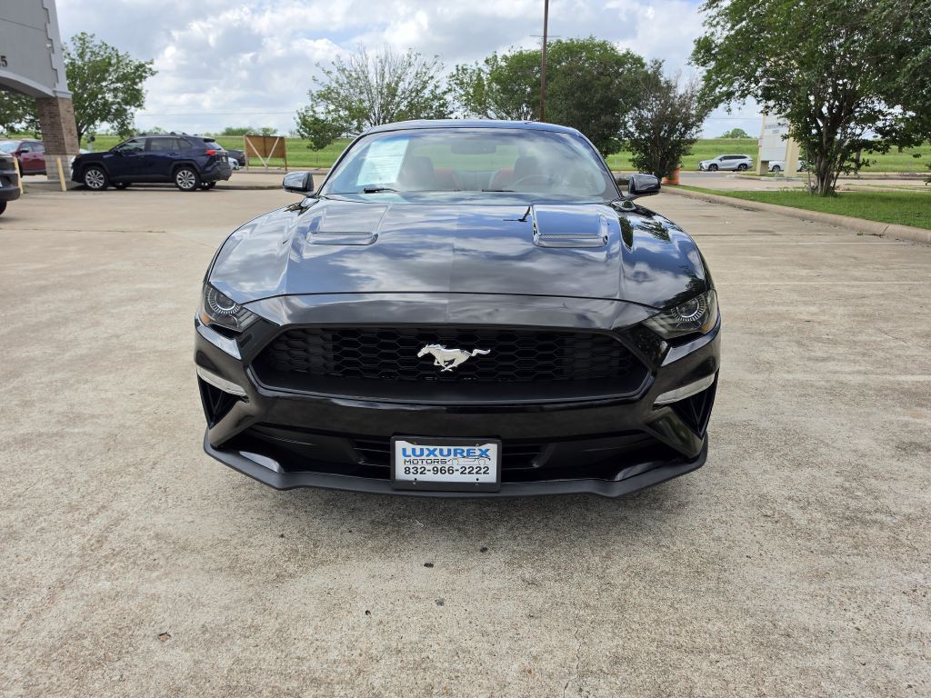 2020 Ford Mustang Image 2