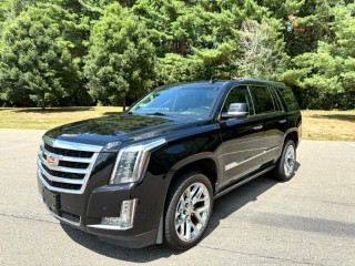 Image for 2017 Cadillac Escalade Premium ID: 6784509