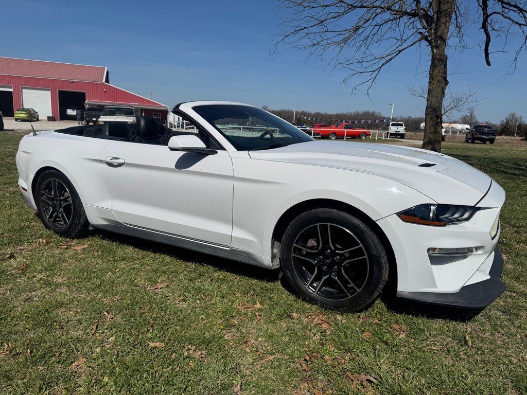 2021 Ford Mustang Image 4
