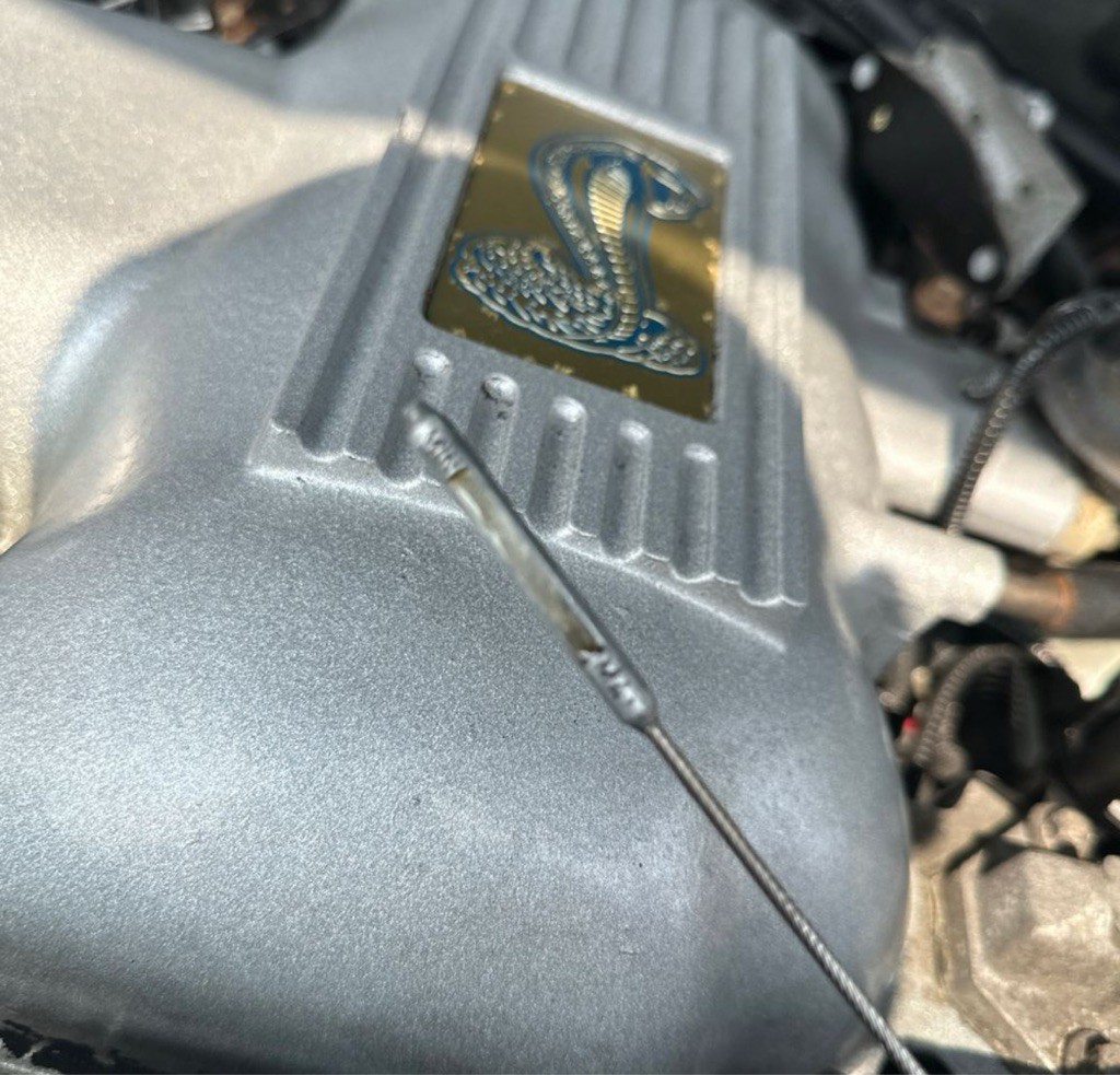 1997 Ford Mustang Image 3