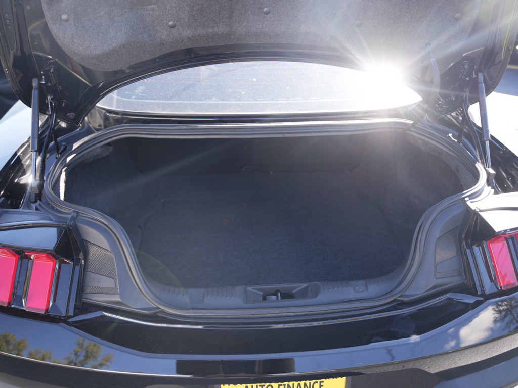 2024 Ford Mustang Image 22