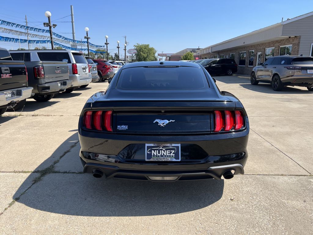 2019 Ford Mustang Image 4
