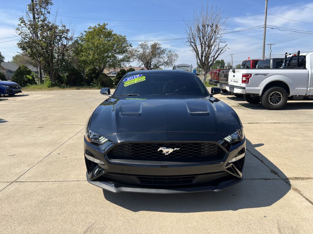2019 Ford Mustang Image 8