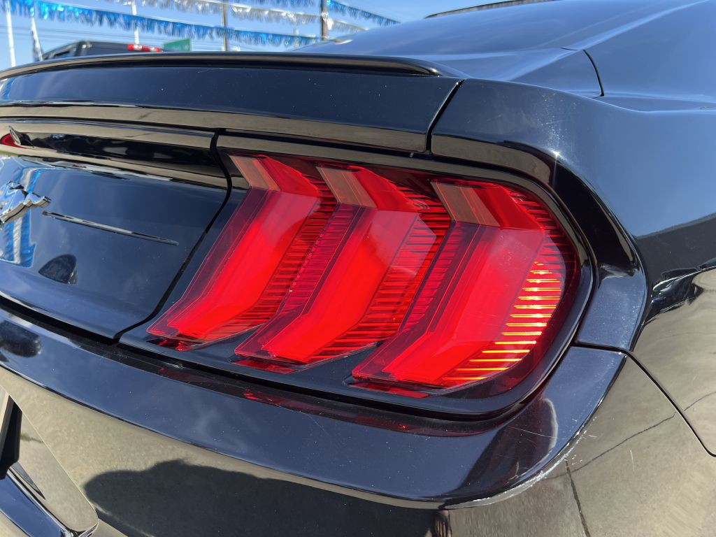 2019 Ford Mustang Image 12
