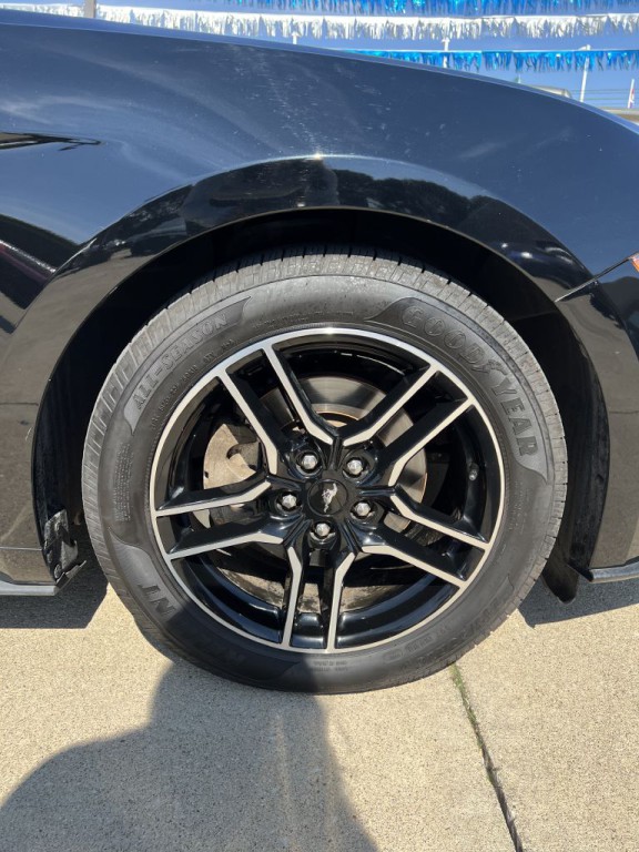 2019 Ford Mustang Image 13