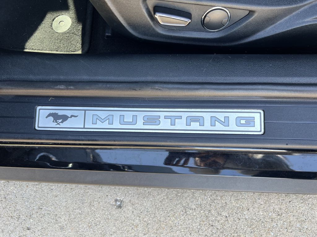 2019 Ford Mustang Image 15