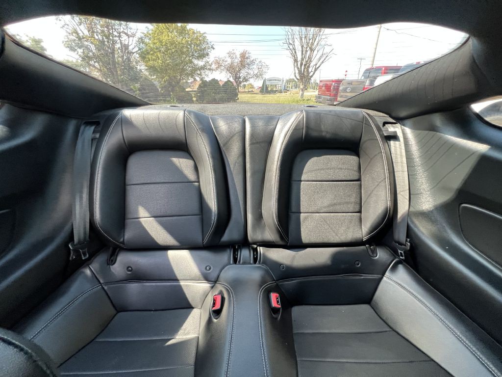 2019 Ford Mustang Image 19
