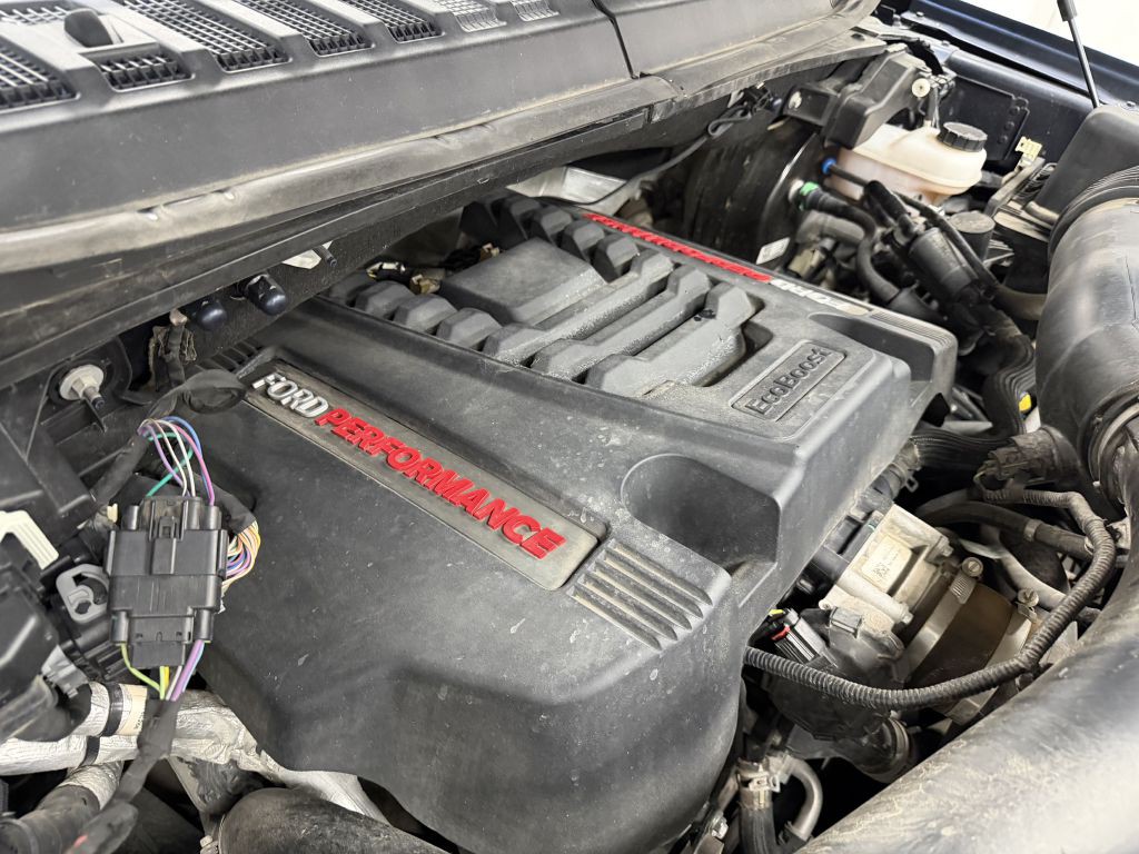 2019 Ford F-150 Image 19