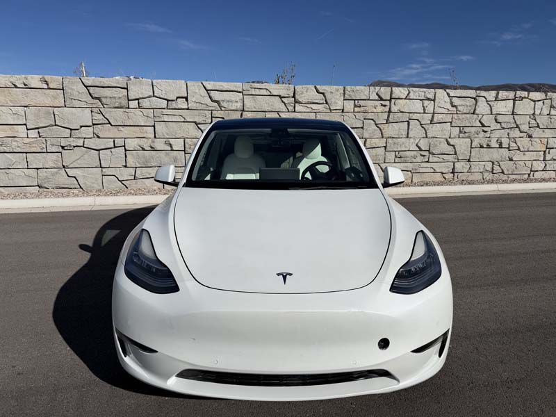 2021 Tesla Model Y Image 2