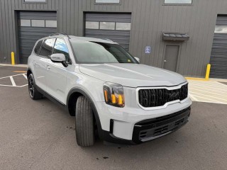 Image for 2024 Kia Telluride EX ID: 7746335