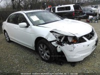 Image for 2010 Honda Accord EXL ID: 6740227