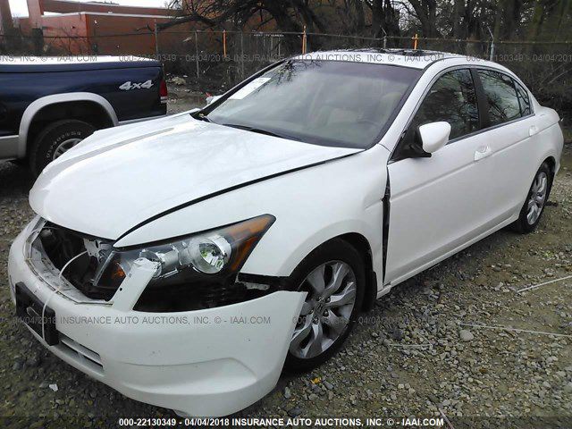 2010 Honda Accord Image 2
