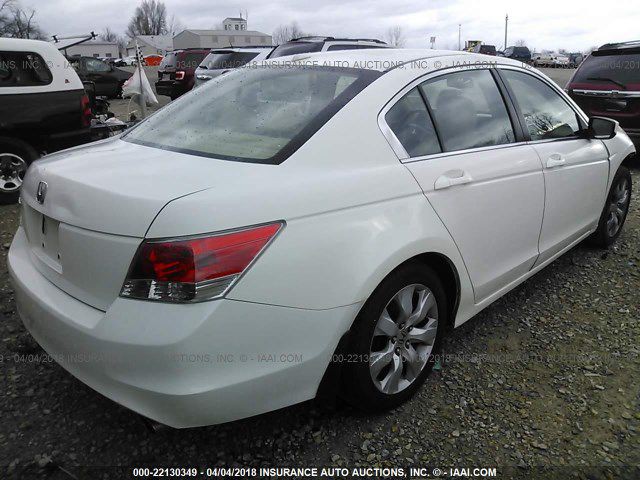 2010 Honda Accord Image 4