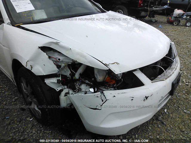 2010 Honda Accord Image 6
