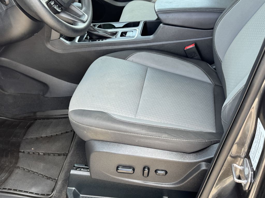 2019 Ford Escape Image 13