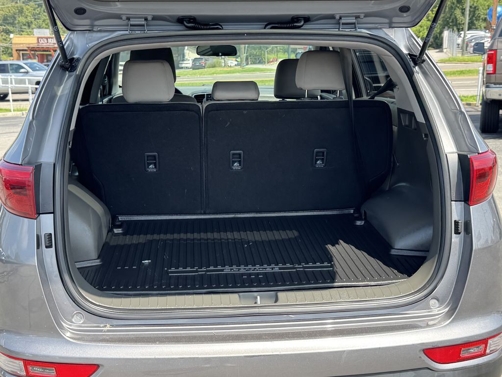 2019 Kia Sportage Image 5