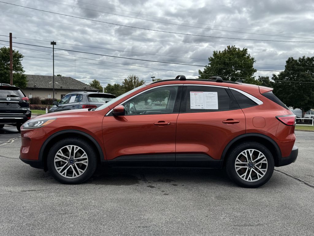 2020 Ford Escape Image 4