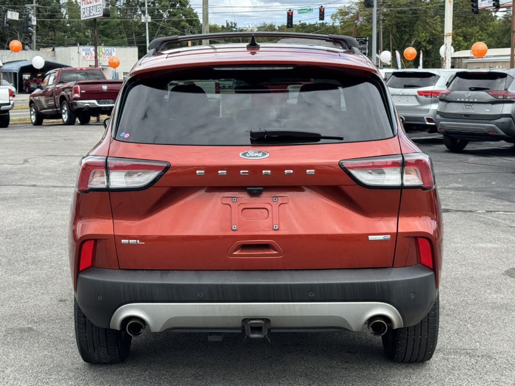 2020 Ford Escape Image 6