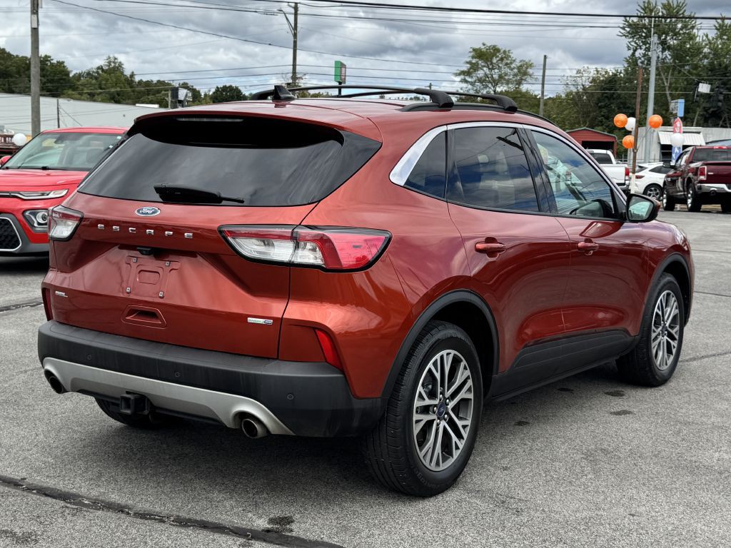 2020 Ford Escape Image 7