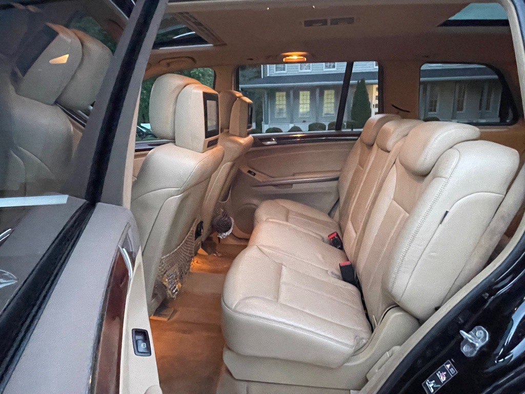 2008 Mercedes-Benz GL-Class Image 12