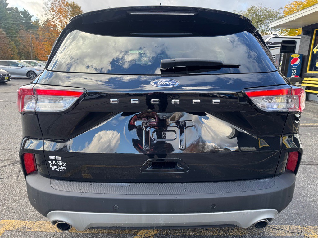 2020 Ford Escape Image 6