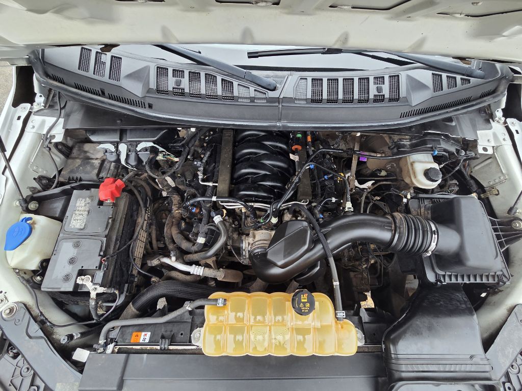 2020 Ford F-150 Image 18