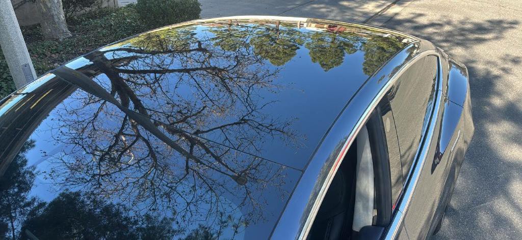 2019 Tesla Model 3 Image 7