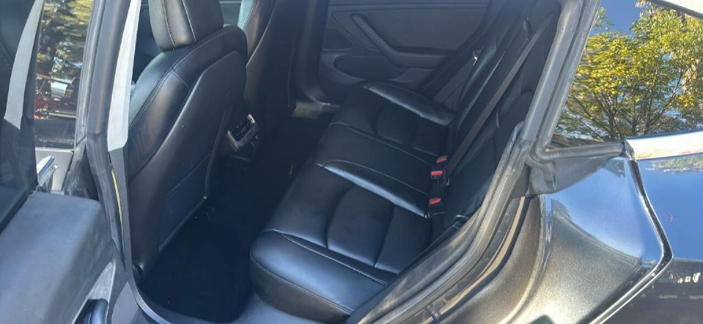 2019 Tesla Model 3 Image 14