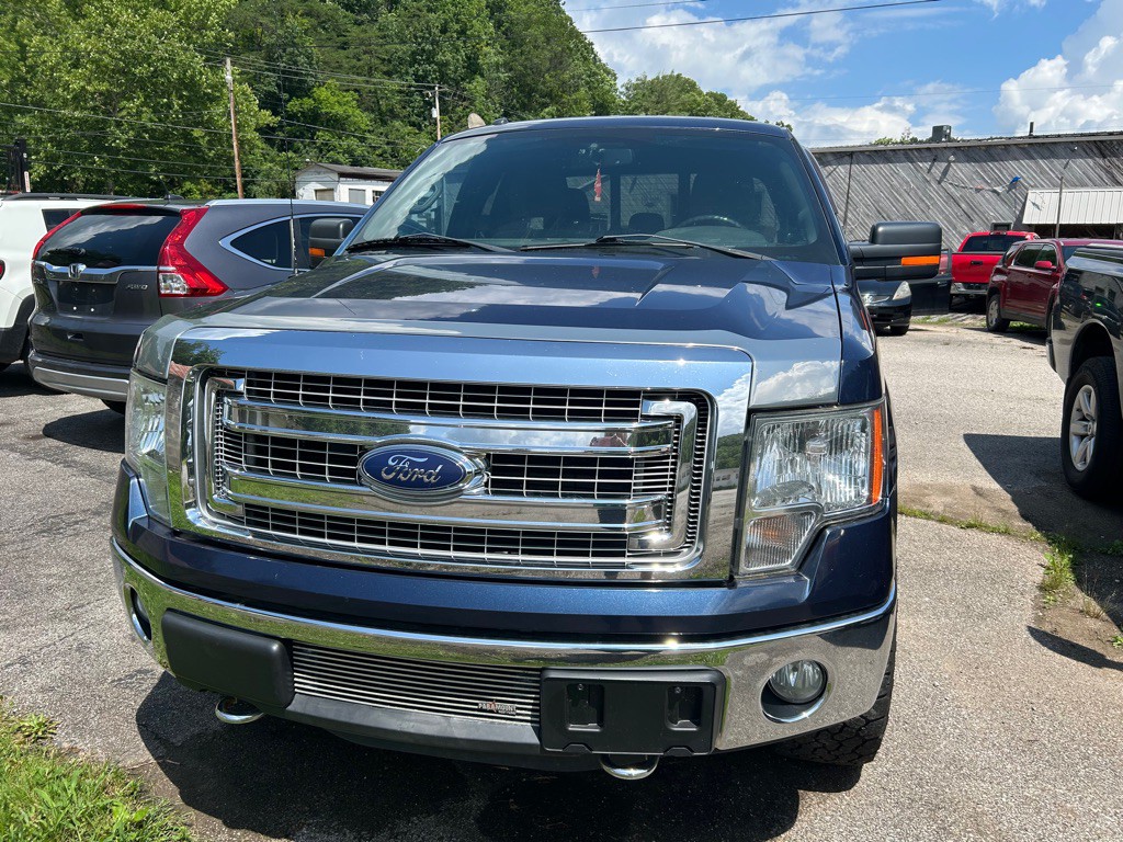 2014 Ford F-150 Image 1