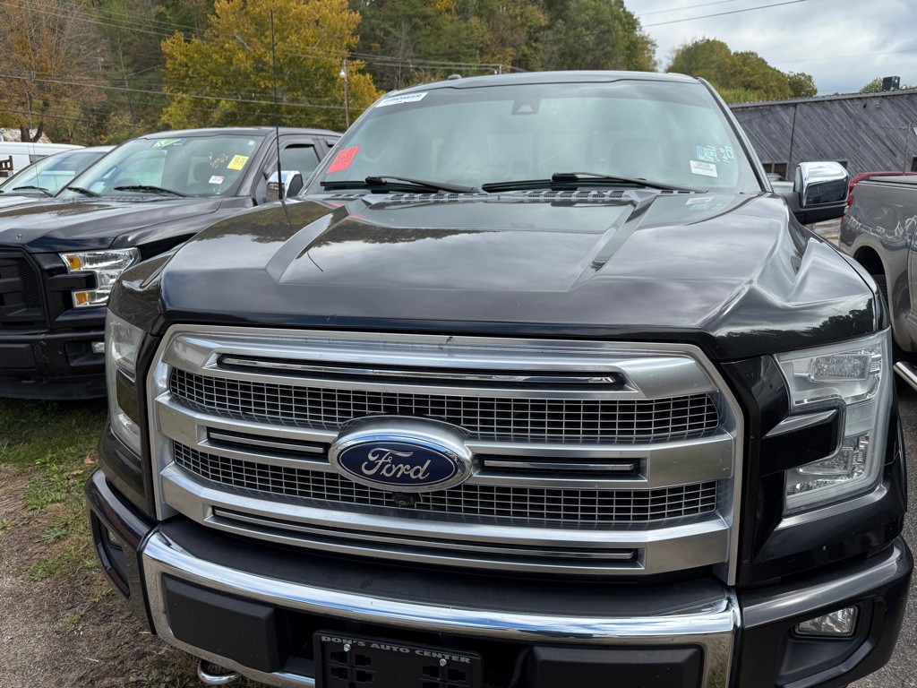 2015 Ford F-150 Image 1