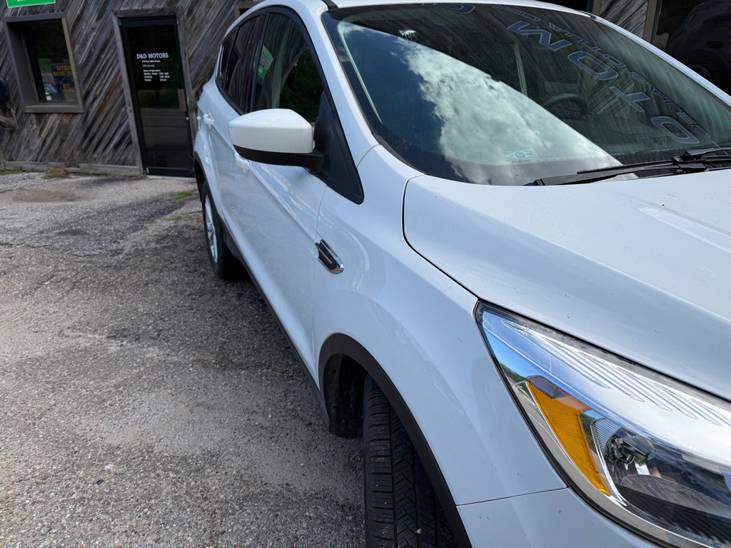 2019 Ford Escape Image 3
