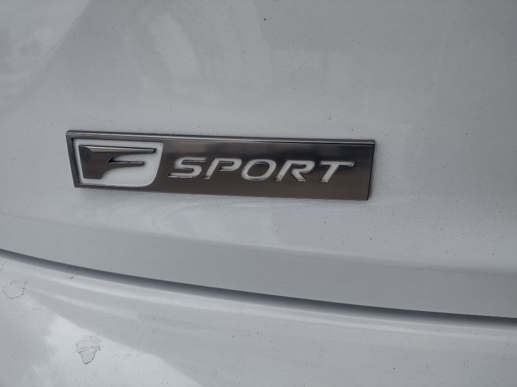 2019 Lexus IS Image 10