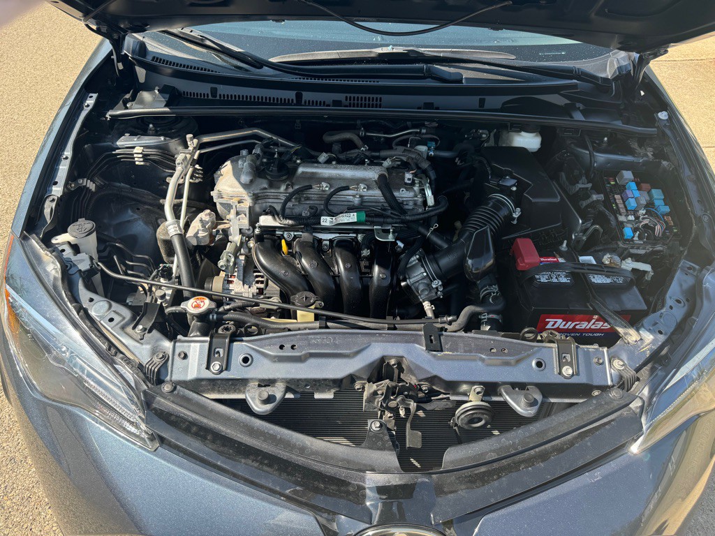 2019 Toyota Corolla Image 21