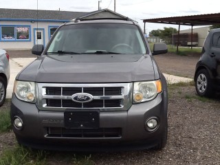 Image for 2010 Ford Escape XLT ID: 6831309