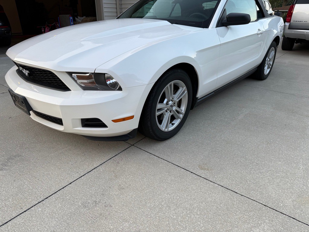 2010 Ford Mustang Image 1