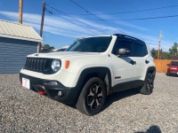 Image for 2020 Jeep Renegade Trailhawk ID: 6828935