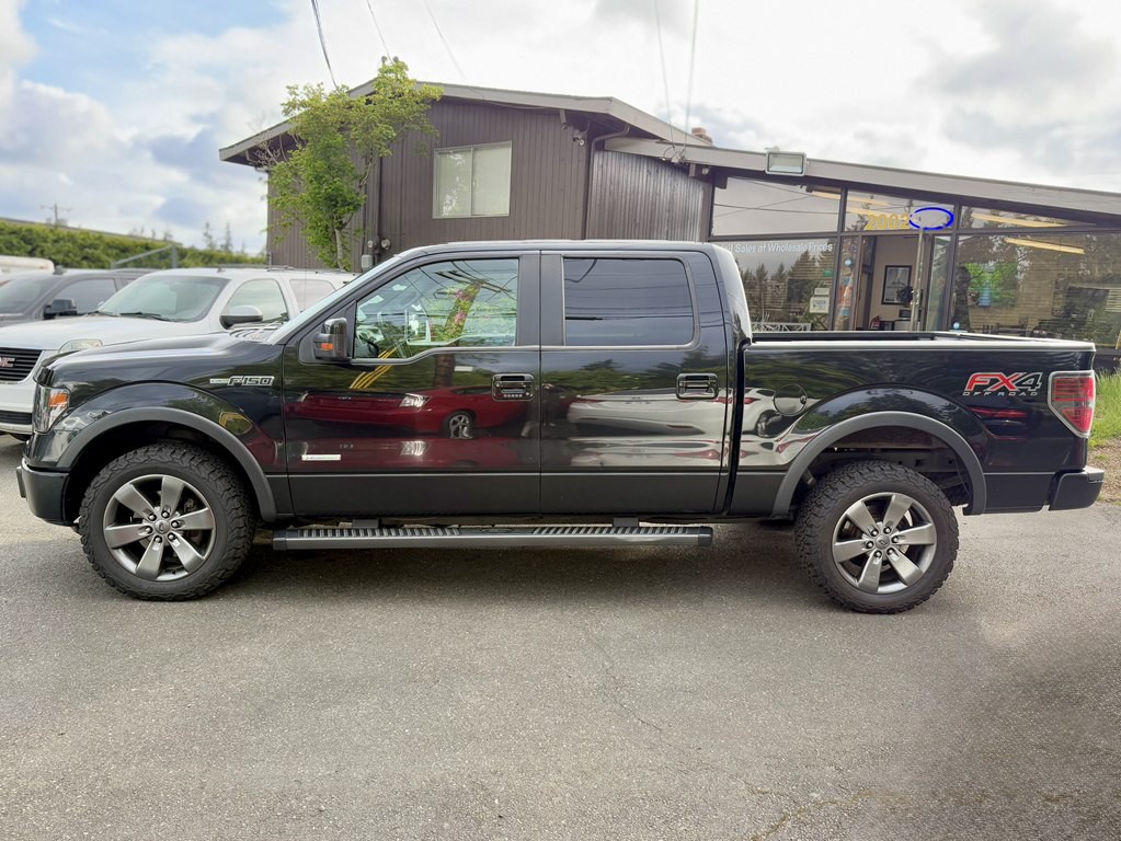 2014 Ford F-150 Image 3
