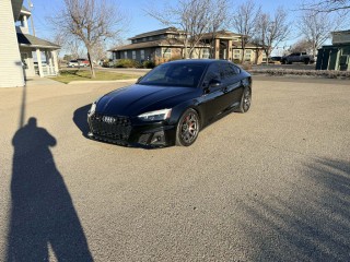 Image for 2021 Audi S5 Premium Plus ID: 7158759