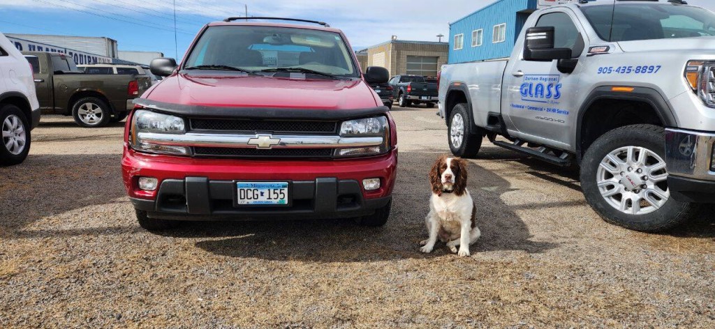 2002 Chevrolet Trailblazer Image 21