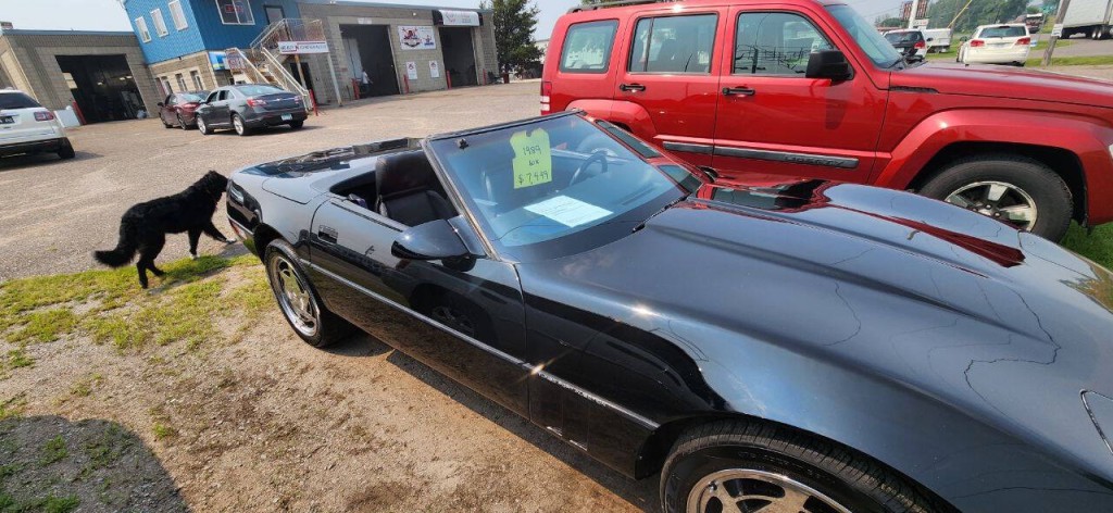 1989 Chevrolet Corvette Image 16