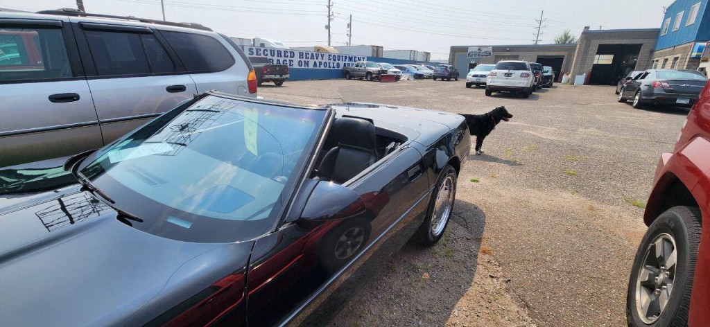 1989 Chevrolet Corvette Image 18