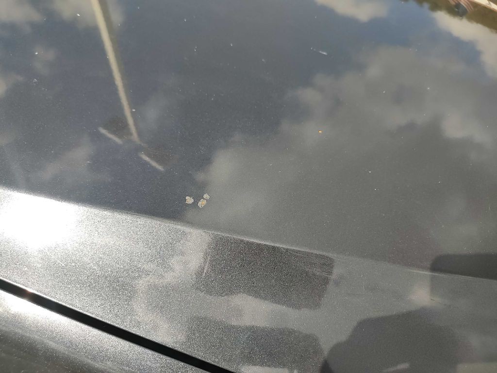 2009 Subaru Impreza Image 3