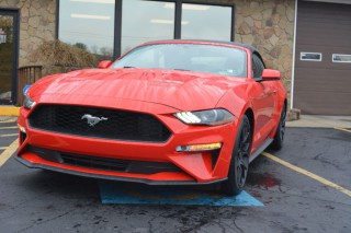 Image for 2019 Ford Mustang Premium ID: 6987670