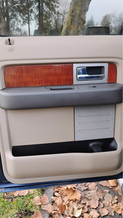 2009 Ford F-150 Image 10