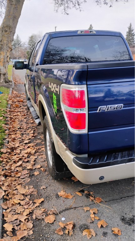 2009 Ford F-150 Image 22